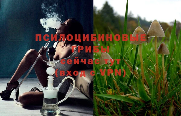 тгк Арсеньев