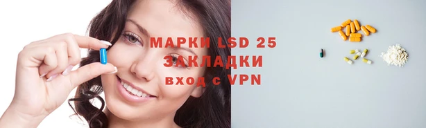 PSILOCYBIN Армянск