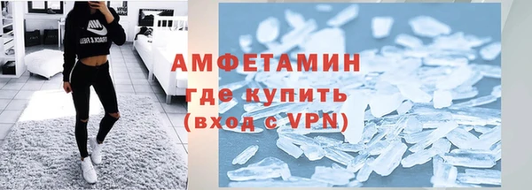 ГАЛЛЮЦИНОГЕННЫЕ ГРИБЫ Аркадак