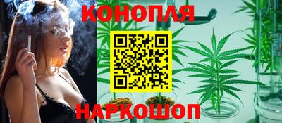 гидра Балашиха