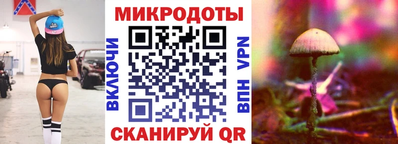 Псилоцибиновые грибы прущие грибы  где можно купить наркотик  Брянск 