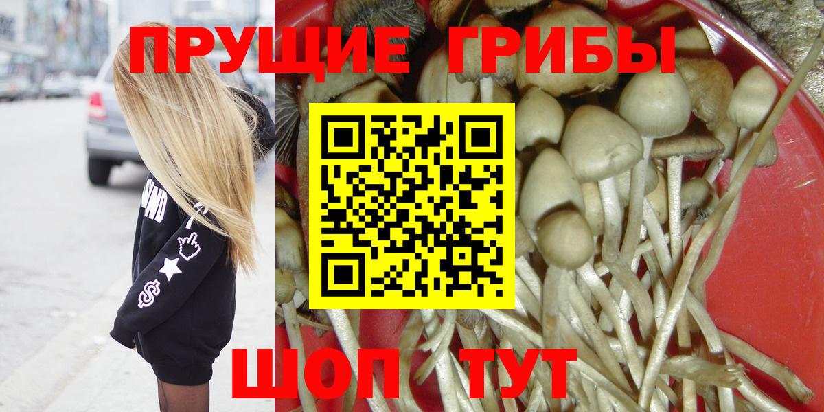Галлюциногенные грибы Cubensis  Вход с VPN  Псилоцибиновые грибы Psilocybine cubensis  Брянск 