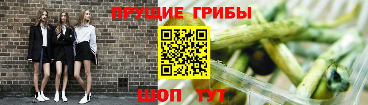 Галлюциногенные грибы ЛСД Брянск
